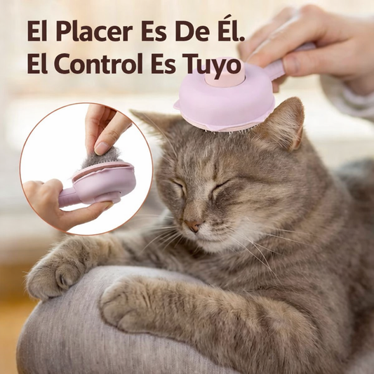 PawRoyale™ | Porque tu Mascota Merece lo Mejor